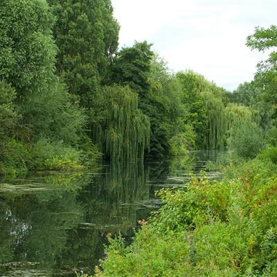 日本全职员工月均工资连续4年创历史新高